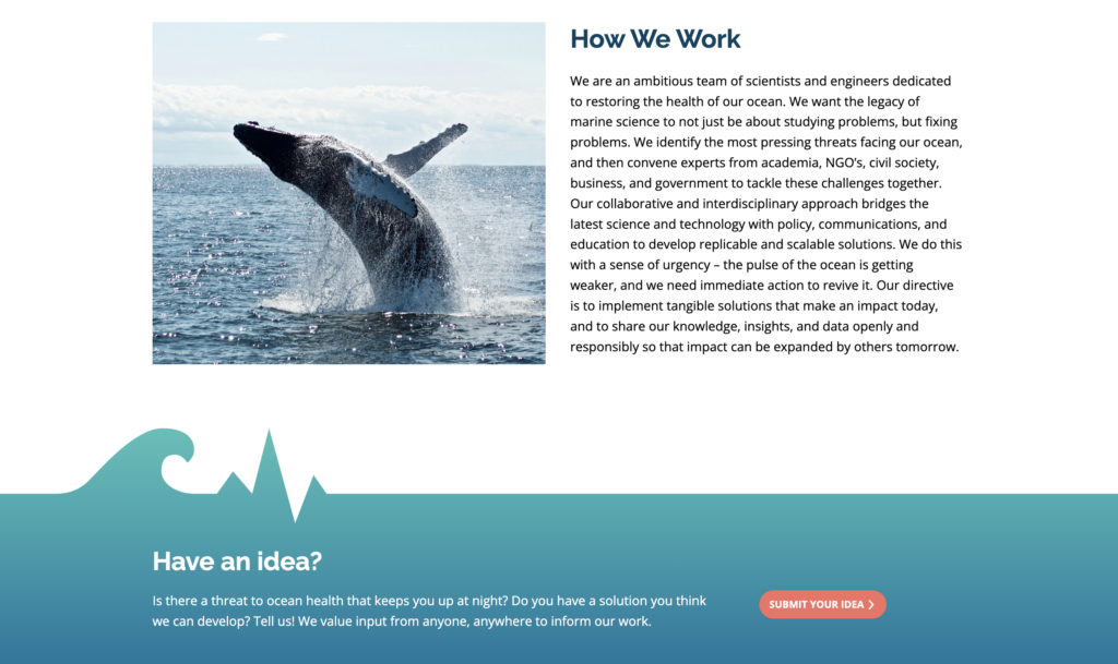 How We Work content with image of whale breaching